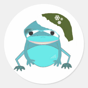 Funny Frog in Santa Hat Classic Round Sticker