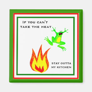 Funny Frog Kitchen Magnet