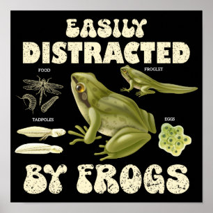 Funny Frog Lover Easily Distracted By Frogs Poster