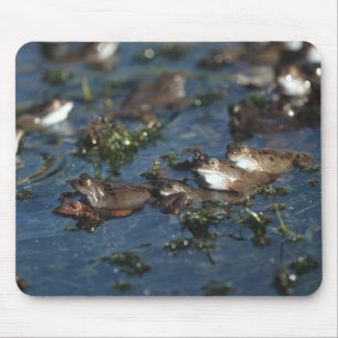 Funny frogs mouse mat