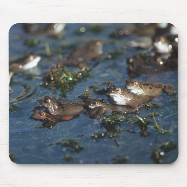 Funny frogs mouse mat (Front)