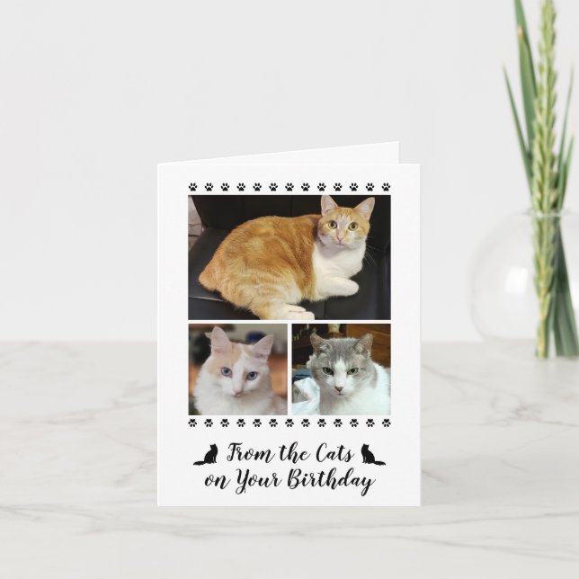 Funny From Cat Dog Pet 3 Photo Script Birthday Card (Front)