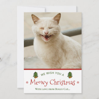 Funny From Cat Meowy Christmas Photo Holiday Card