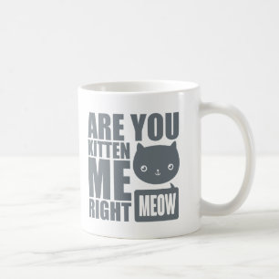 Funny Fun Are You Kitten Me Right Meow Mug