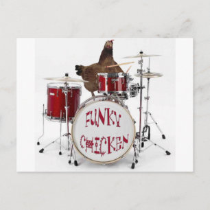 Funny Funky chicken Postcard