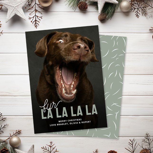 Funny Fur La La Pet Holiday Christmas Cards (Creator Uploaded)
