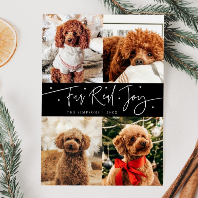 Funny Fur Real Joy Dog Photo Black  Christmas  Holiday Card (Creator Uploaded)