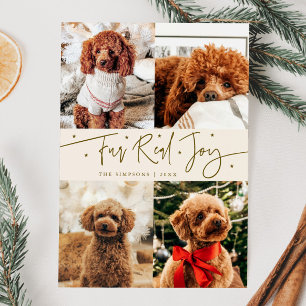 Funny Fur Real Joy Dog Photo Cream Christmas  Holiday Card