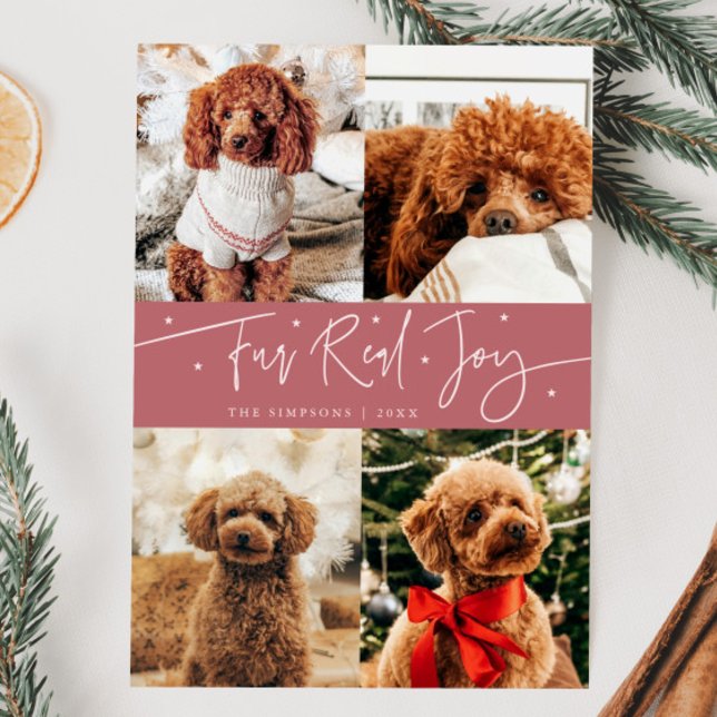 Funny Fur Real Joy Dog Photo Pink Christmas  Holiday Card (Creator Uploaded)