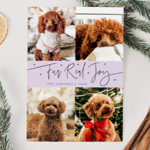 Funny Fur Real Joy Dog Photo Purple Christmas  Holiday Card