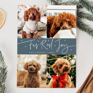 Funny Fur Real Joy Dog Photo Slate Blue Christmas Holiday Card