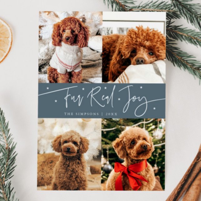 Funny Fur Real Joy Dog Photo Slate Blue Christmas  Holiday Card (Creator Uploaded)