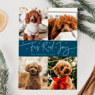 Funny Fur Real Joy Dog Photo Teal Christmas  Holiday Card