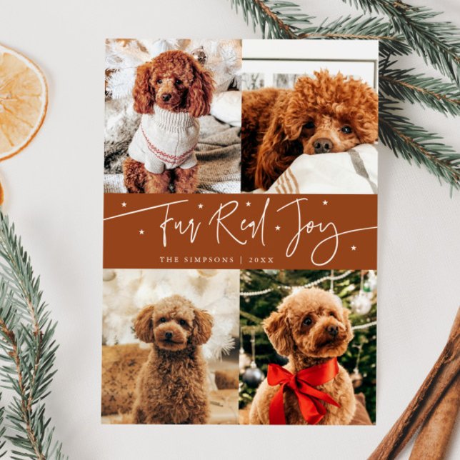 Funny Fur Real Joy Dog Photo Terracotta Christmas  Holiday Card (Creator Uploaded)