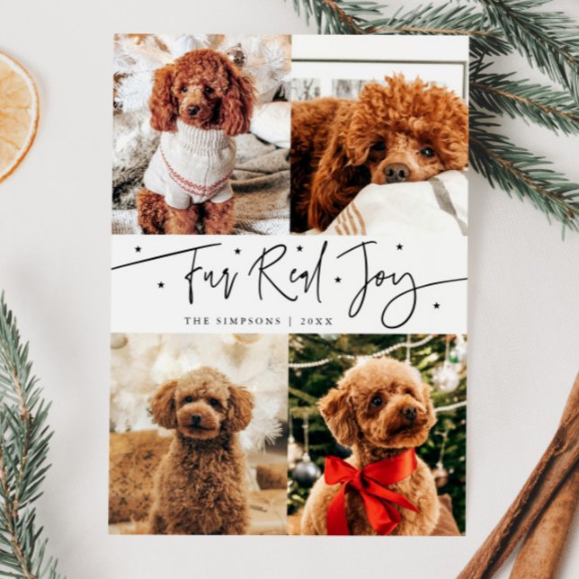 Funny Fur Real Joy Dog Photo White Christmas  Holiday Card (Creator Uploaded)