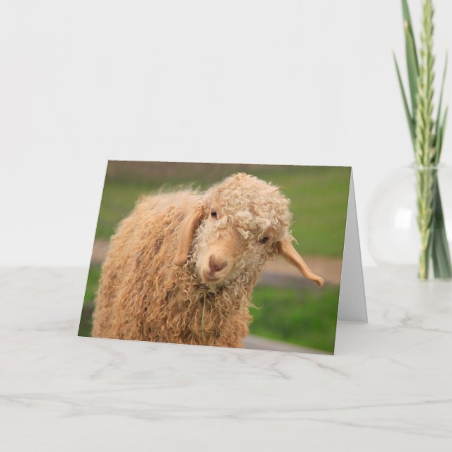 Funny Fuzzy Baby Goat Birthday Card (Front)
