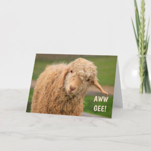 Funny Fuzzy Baby Goat Get Well Card