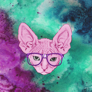 Sphynx Cat Clothes Accessories Zazzle Co Uk