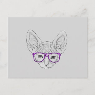 Funny Geeky Nerdy Sphynx with Taped Glasses Postcard