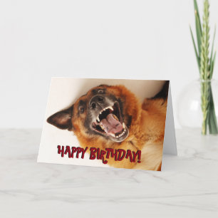 Funny German Shepherd birthday card