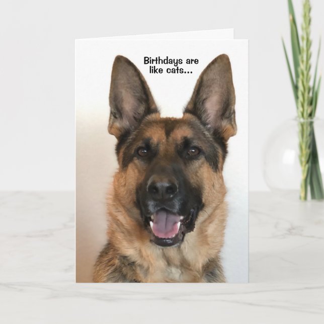 Funny German Shepherd Birthday Card (Front)