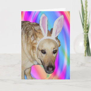 Funny German Shepherd Dog & Easter Bunny Ears Holiday Card