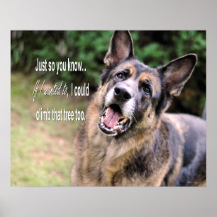 Funny German Shepherd Dog Poster Print