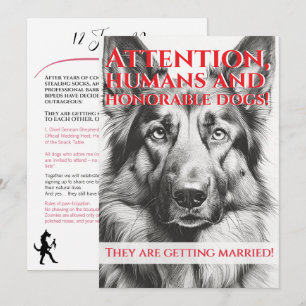 Funny German Shepherd host wedding black Holiday Card