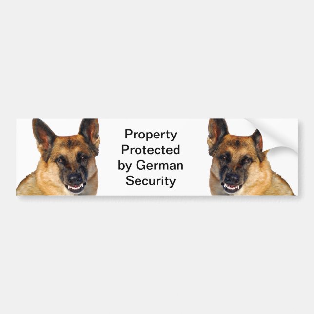 Funny German Shepherd Photo Snarling Angry Bumper Sticker (Front)