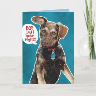 Funny German Shepherd Puppy 80th Birthday Card