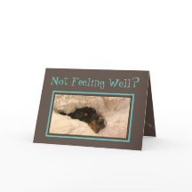 Funny Get Well Card W/Basset Hound Doctor