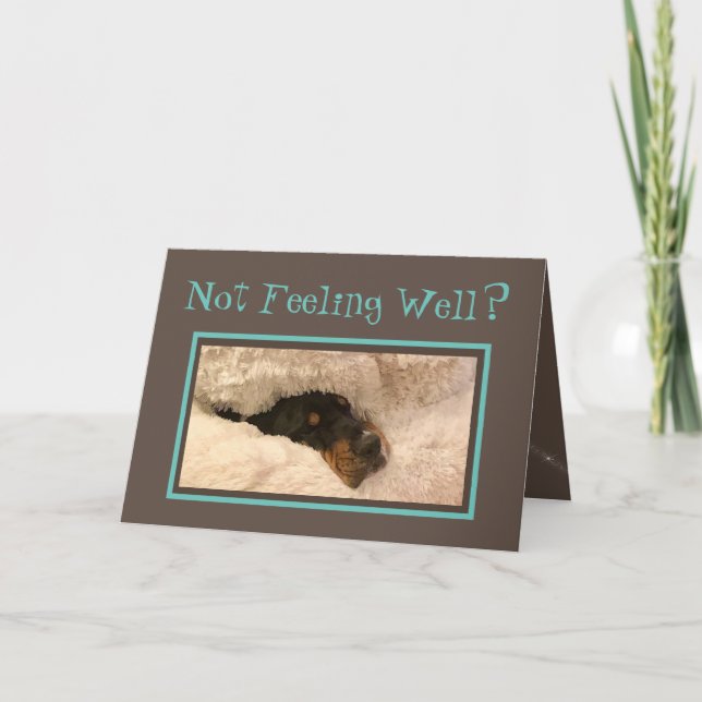 Funny Get Well Card W/Basset Hound Doctor (Front)
