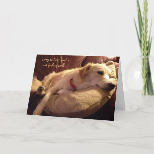 Funny Get Well, Cute Sleeping Dog Dreams Card