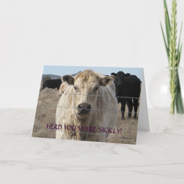 Funny Get Well - Cute White Cow - Ranch or Farm Card (Front)