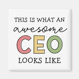 Funny Gifts for CEO   Awesome CEO Boss Gifts Magnet