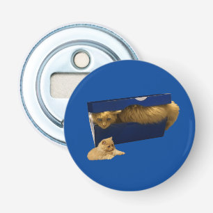 Funny Ginger Cat In A Shoe Box, Bottle Opener