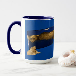 Funny Ginger Cat In A Shoe Box, Coffee Mug
