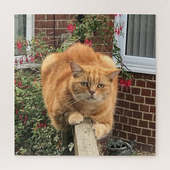 Funny Ginger Cat on Fence Jigsaw Puzzle (Vertical)