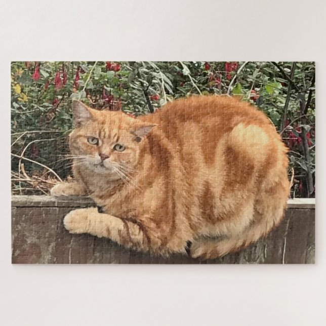 Funny Ginger Cat on Fence Sideways on Jigsaw Puzzle (Horizontal)