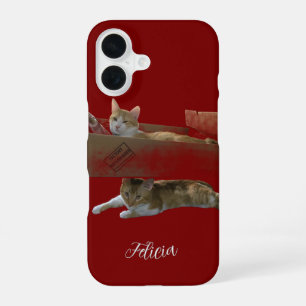 Funny Ginger Cats , Customisable Image And Photo iPhone 16 Case