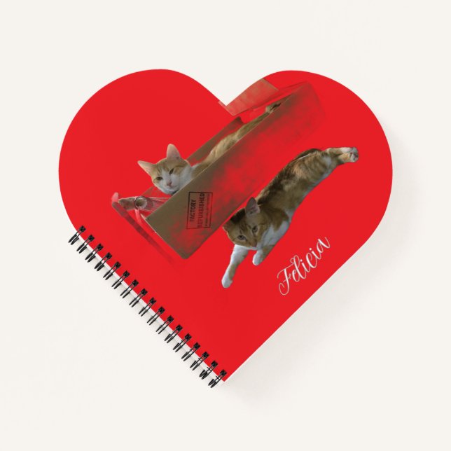 Funny Ginger Cats , Customisable Image And Photo Notebook (Front)
