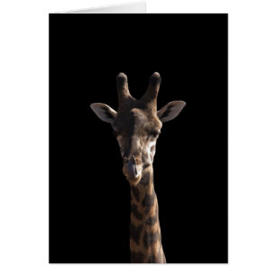 Funny Giraffe