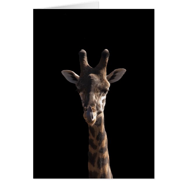 Funny Giraffe (Front)