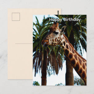 Funny Giraffe Giving A Raspberry Birthday Postcard