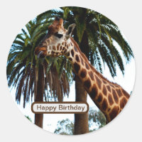 Funny Giraffe Giving A Raspberry,