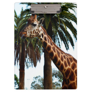 Funny Giraffe Giving A Raspberry, Clipboard