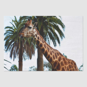 Funny Giraffe Giving A Raspberry, Tissue Paper