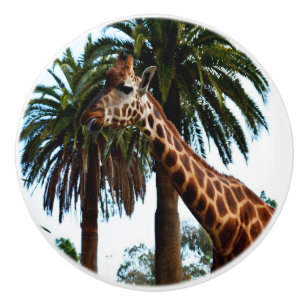 Funny Giraffe Poking Out Tongue, Ceramic Knob