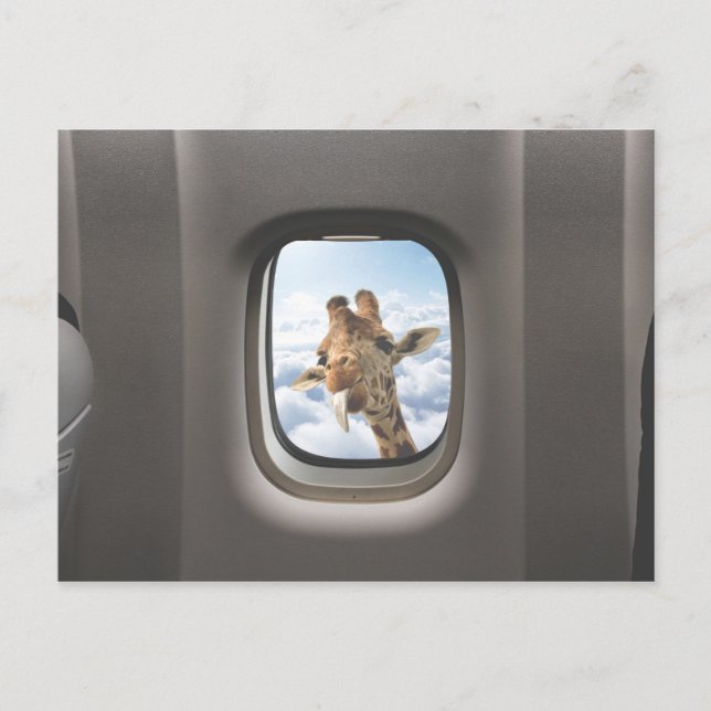 Funny Giraffe Postcard (Front)