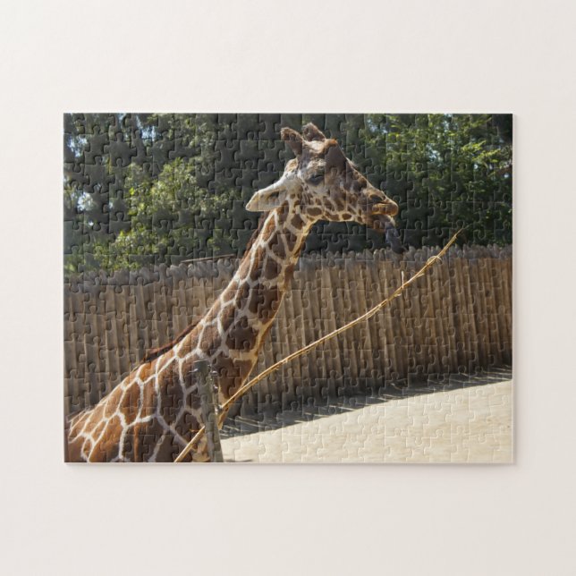 Funny Giraffe Puzzle (Horizontal)